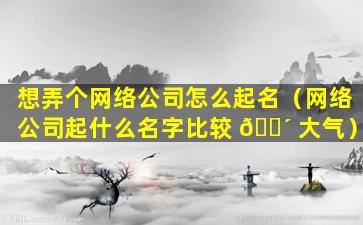 想弄个网络公司怎么起名（网络公司起什么名字比较 🐴 大气）